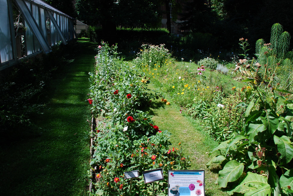 Orto Botanico_029.JPG